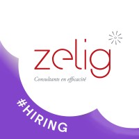 Zelig Consultants Logo