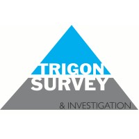Trigon Survey & Investigation Ltd Logo