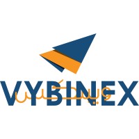 Vybinex Digital Solutions Logo