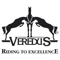 VEREDUS srl Logo
