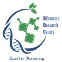 Ribosomes Research Center Logo