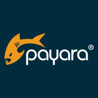 Payara Services Ltd Logo