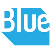 Bluestonex Consulting Logo