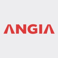 An Gia Group - Official Logo