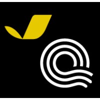Capitol Canary from Quorum Logo