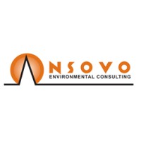 Nsovo Environmental Consulting Logo