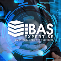 Bas Expertise Logo