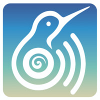 Positivity Radio New Zealand Logo