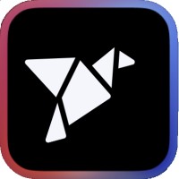 Metricsbird Logo