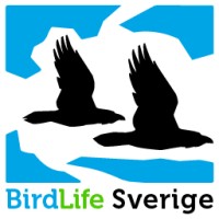 BirdLife Sweden Logo