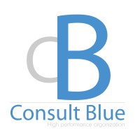 Consult Blue Logo