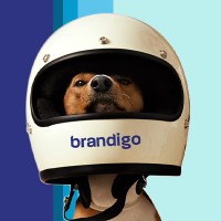 Brandigo China Logo