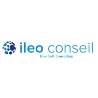 Ileo conseil - Blue Soft Consulting Logo