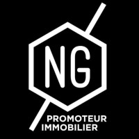 NG PROMOTION Logo