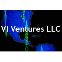 VI Ventures LLC Logo