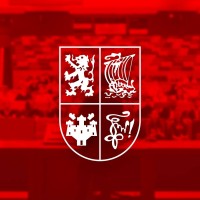 Wikings-NSK Logo