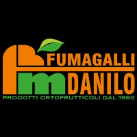 Fumagalli Danilo Srl Logo