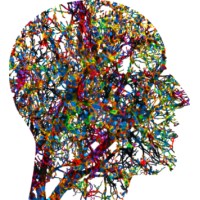 Steinbeis Center for Medical Systems Biology Logo