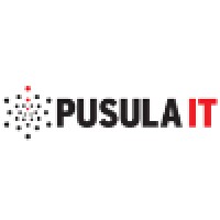 PUSULA IT Logo