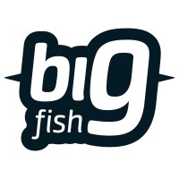 BIG FISH Internet-technology Ltd. Logo