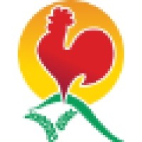 Stichting Stoppelhaene Logo