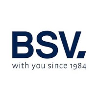 BSV Electronic Logo