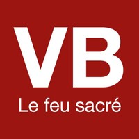 ViznerBorel, Agentur für Kommunikation GmbH Logo