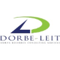 Dorbe-Leit Consulting Limited Logo
