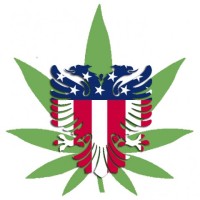 American-Alb Hemp Company Logo
