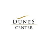 Dunes Investment & Global Services Ltd Logo