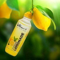 Wilsons Juice Company Logo