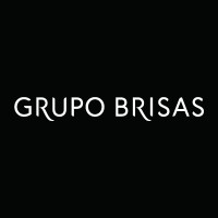 Grupo Brisas Logo
