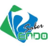 Saber Endo Logo