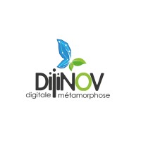 Dijinov Logo