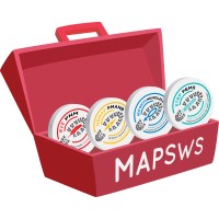 MAP Strategic Workforce Services (MAPSWS) Logo