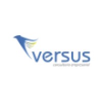 Versus Consultoria Empresarial Logo
