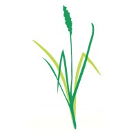 Ramstead Ranch, LLC Logo