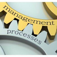 Project Support Solutions, LLC Logo