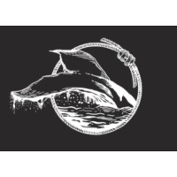 Big Fish Foundation Logo