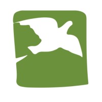 Alaska Network on Domestic Violence and Sexual Assault Logo