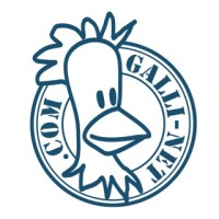 Galli-Net Logo