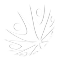 CareTeam Solutions Logo