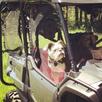 Ghostrider Motorsports Logo