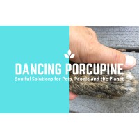 Dancing Porcupine Logo