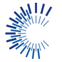 CFO Solutions, LLC Logo
