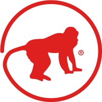 Red Monkey Company Logo