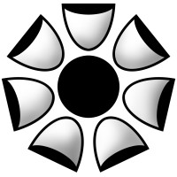 Princeton Psychiatry & Consulting, LLC Logo
