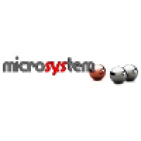 Microsystem srl Logo