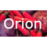 Orion Coaching Logo