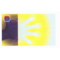 DC Management & Advies Logo